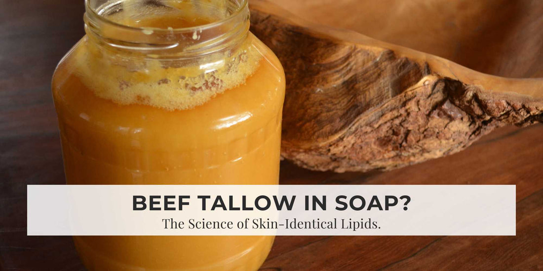 Beef Tallow in Soap? Here’s Why Your Skin Loves It