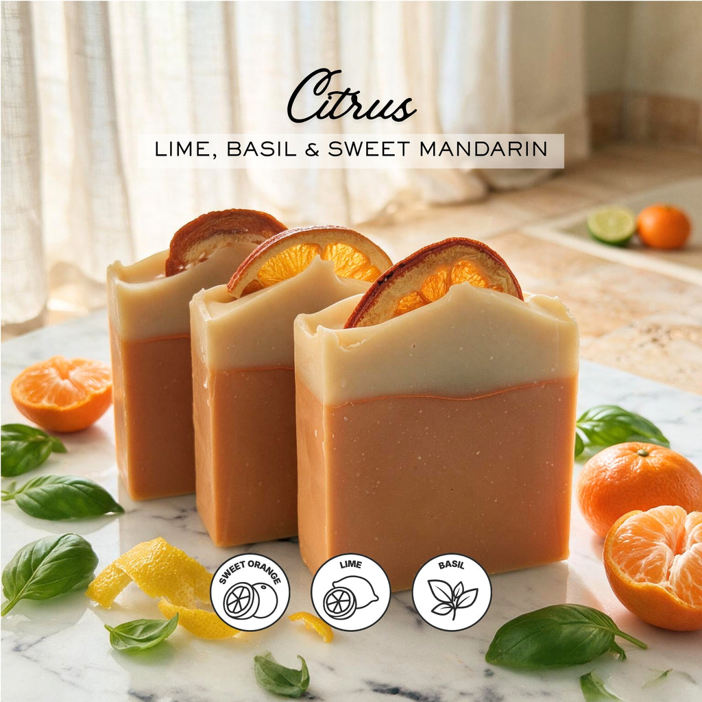 Citrus | Triple Infused Tallow Soap Bar