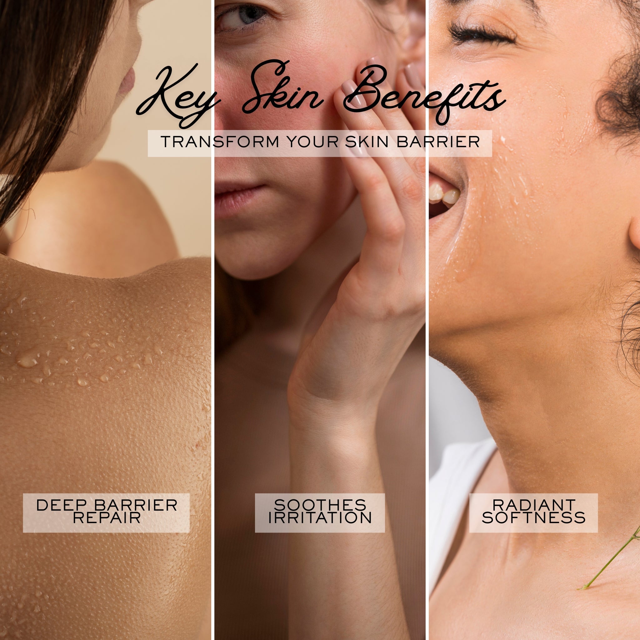 Rose | Triple Infused Tallow Soap Bar